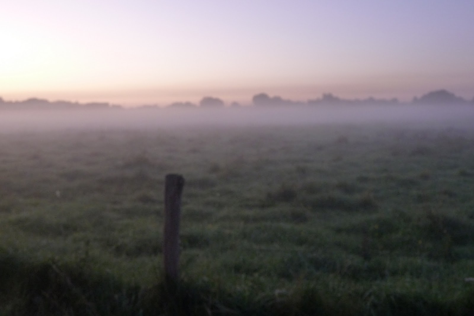 as we walked through fields
